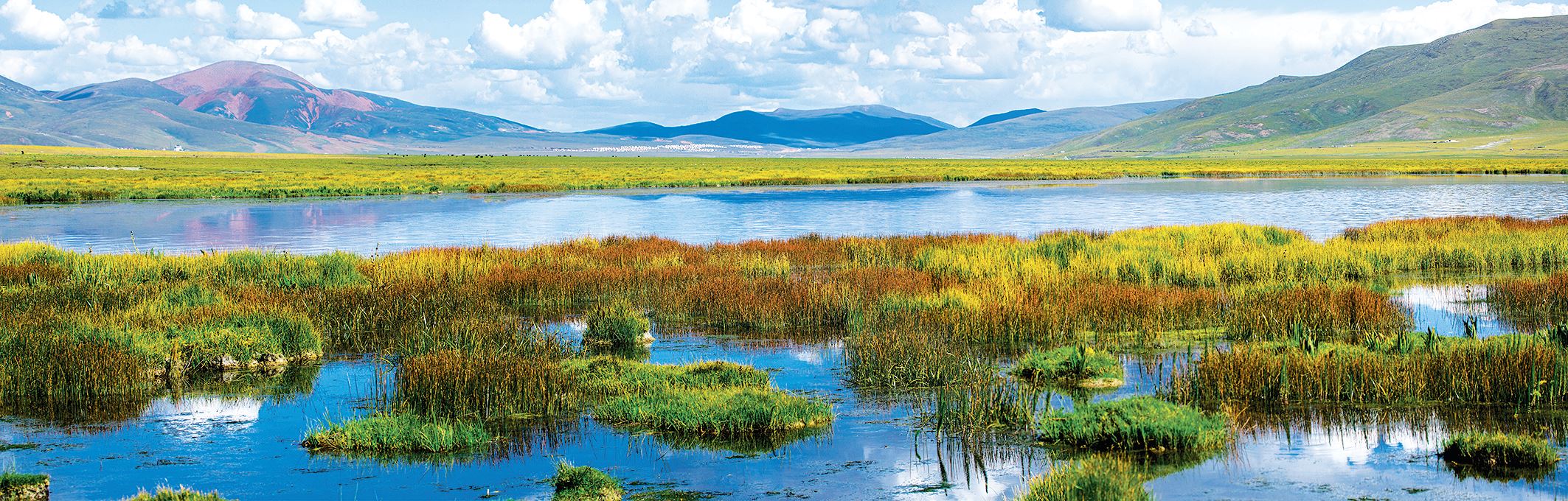 玉树隆宝滩被列入国际重要湿地名录